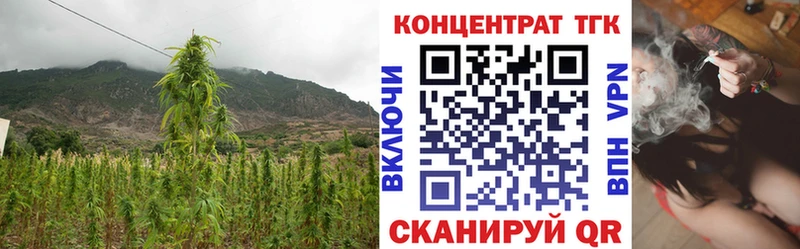 Дистиллят ТГК Wax Купить Тейково
